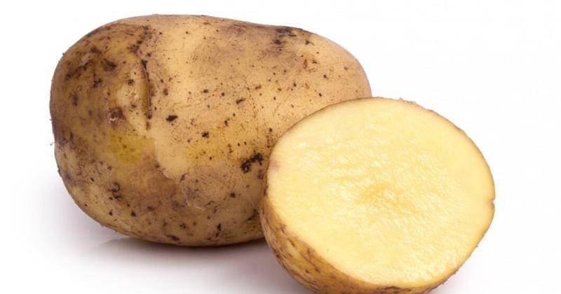 Freepik/racool_studio